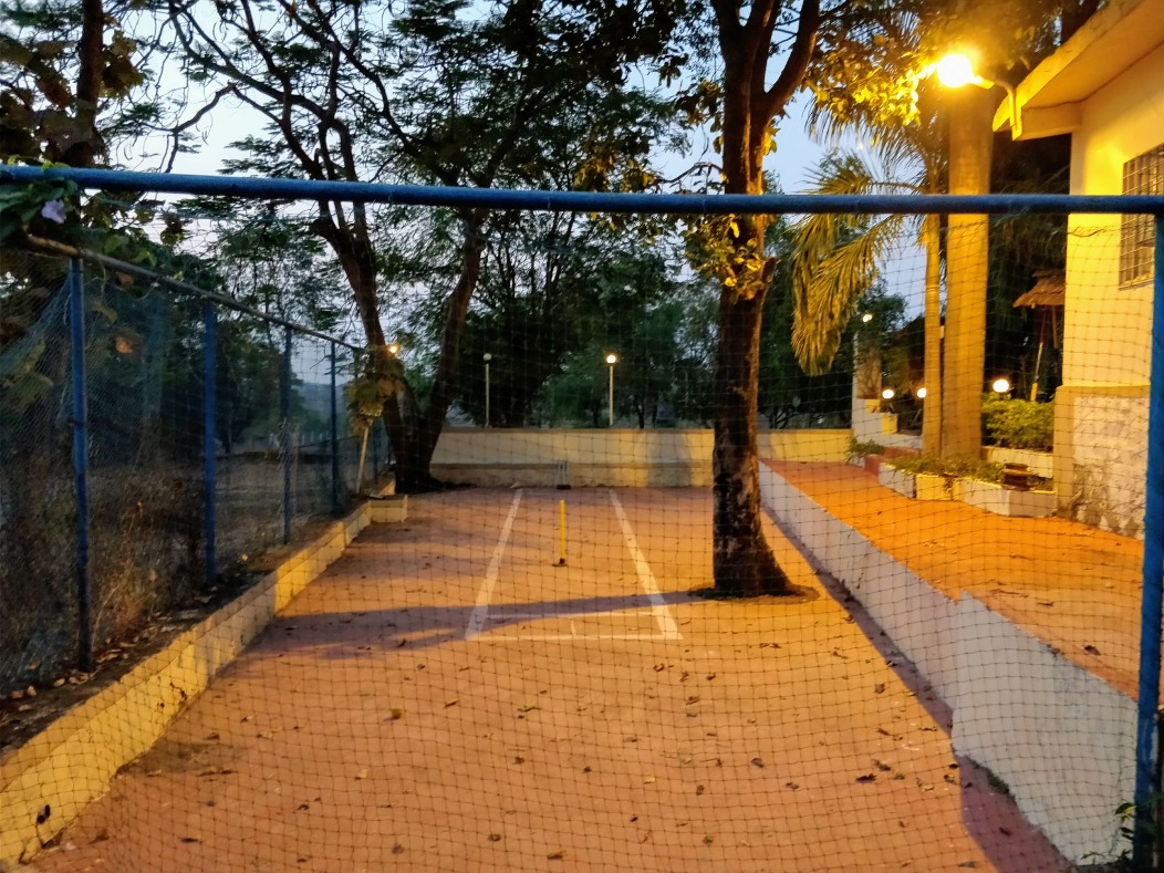Cricket Area